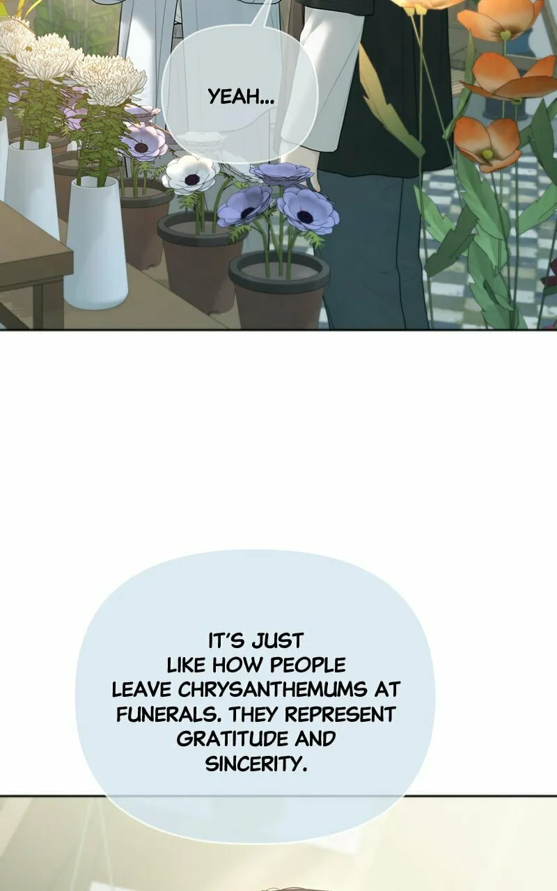 Read Only Hope chapter 76 image 6 on Lezhin
