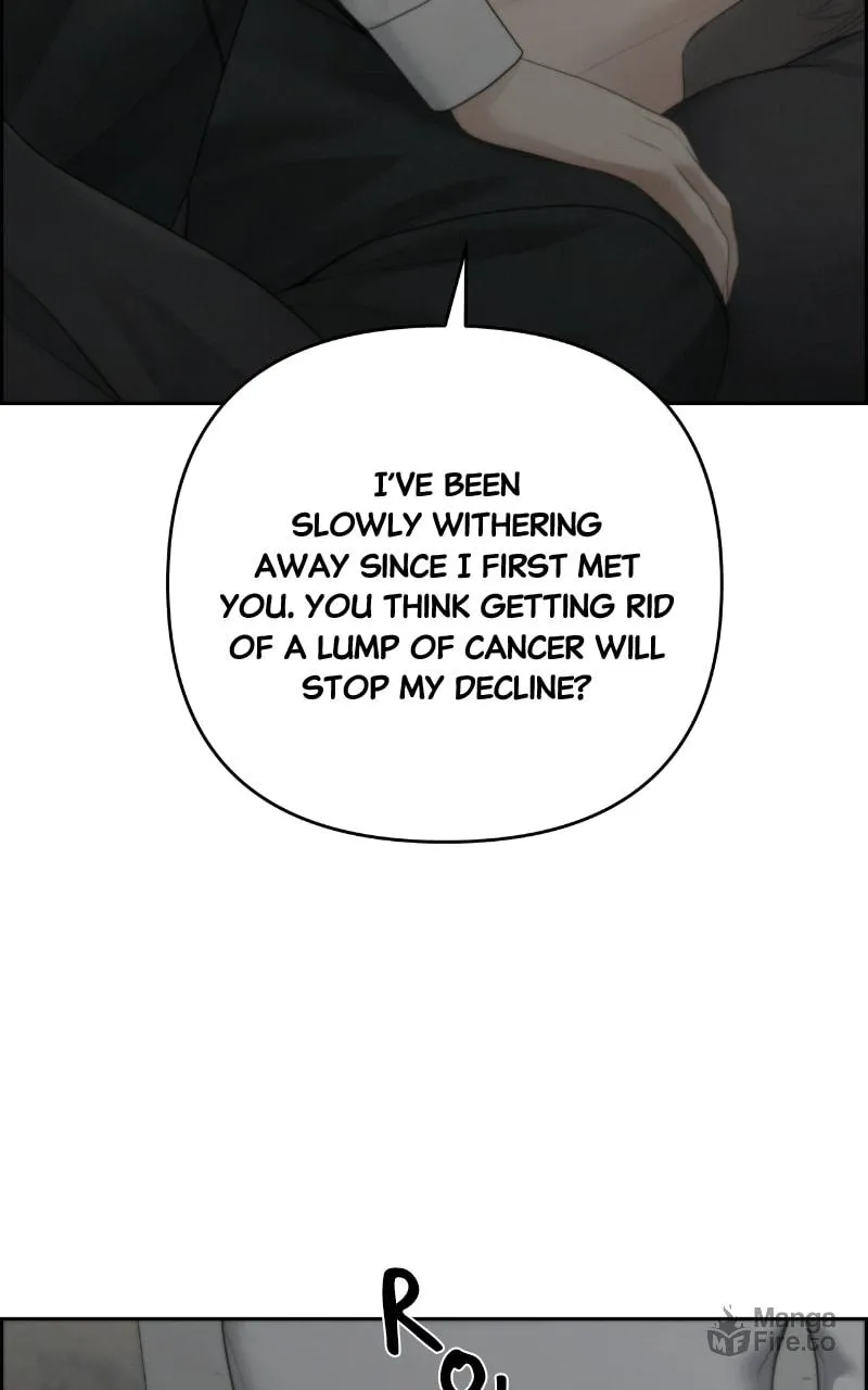 Read Only Hope chapter 99 image 84 on Lezhin