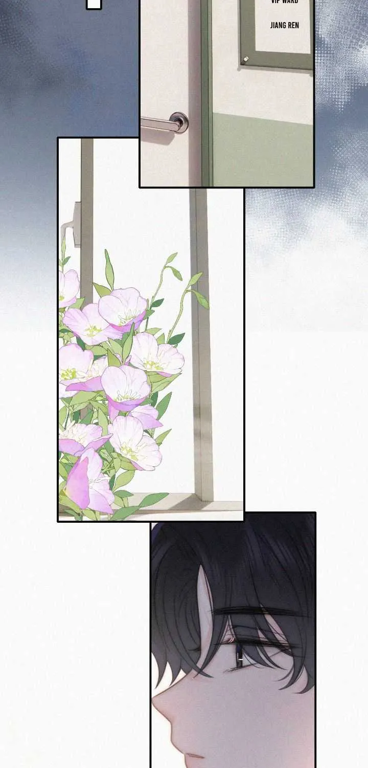 Read Only Love chapter 116 image 26 on Lezhin