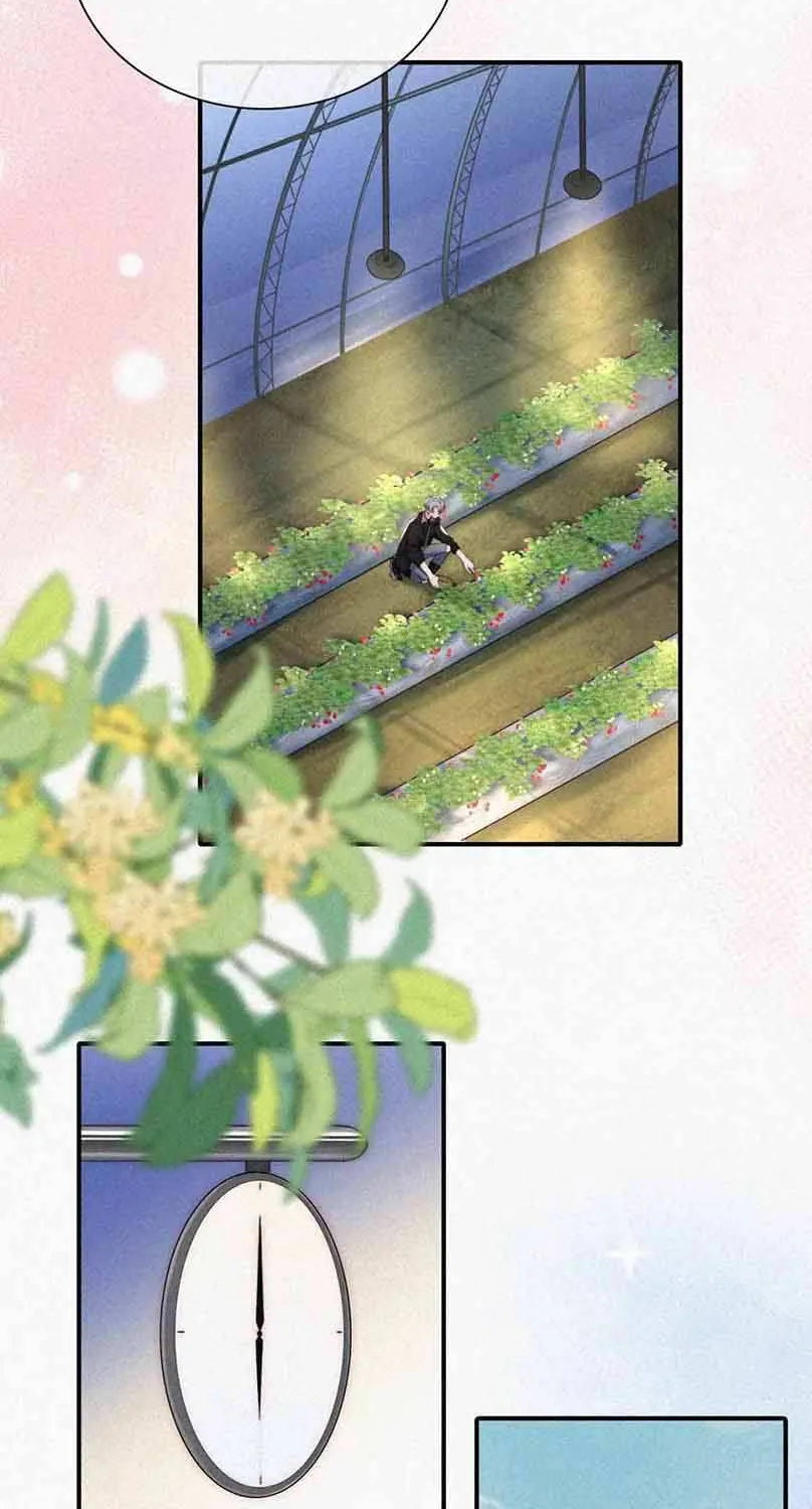 Read Only Love chapter 38 image 28 on Lezhin