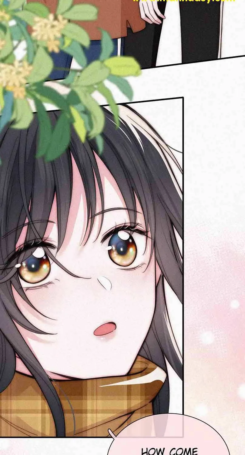 Read Only Love chapter 50 image 19 on Lezhin