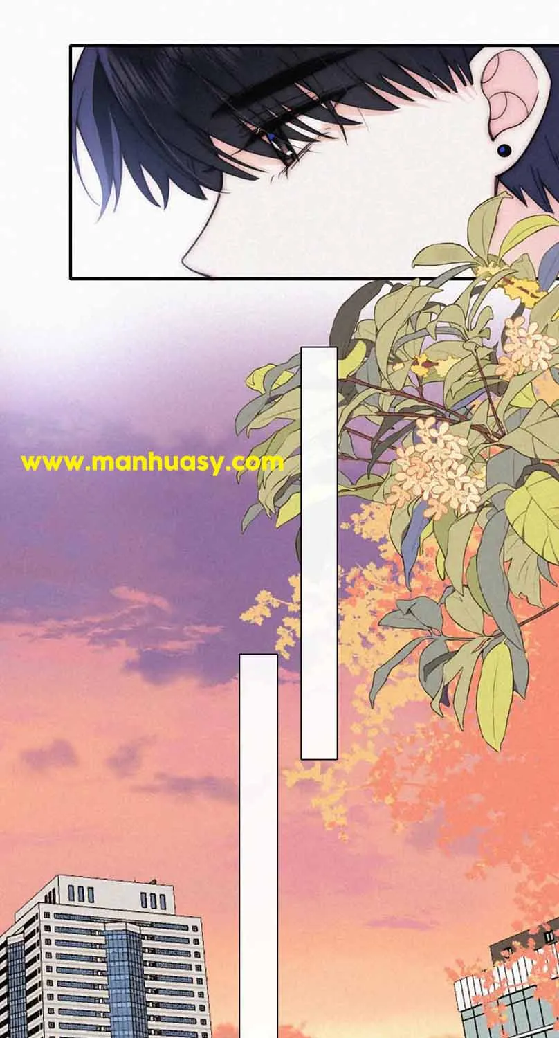 Read Only Love chapter 51 image 15 on Lezhin