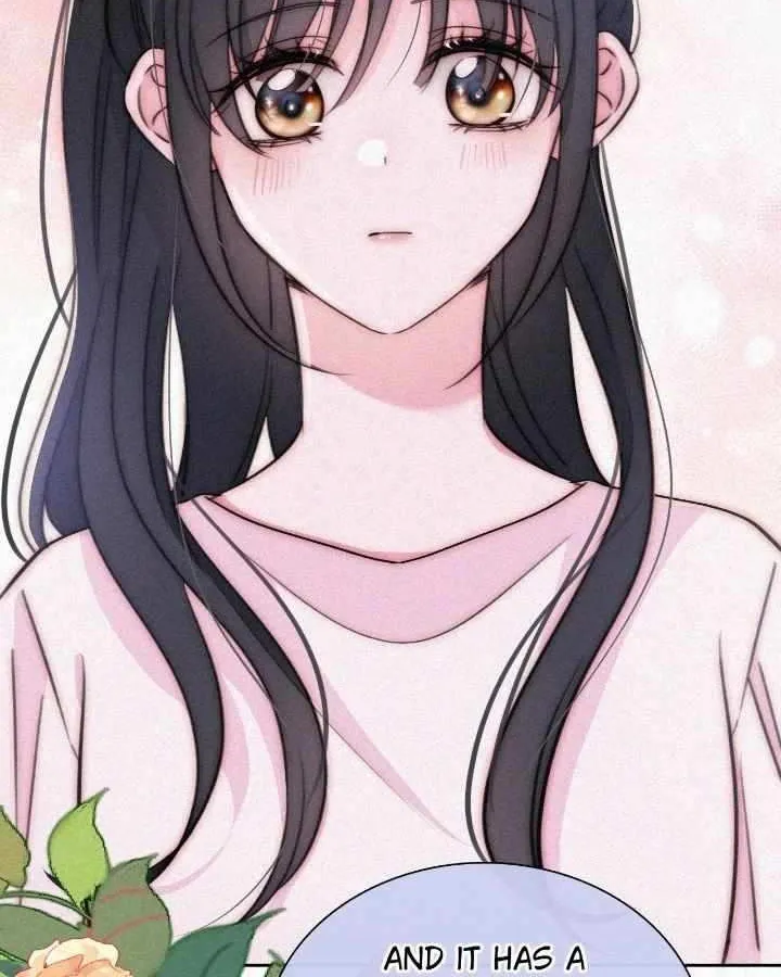 Read Only Love chapter 95 image 8 on Lezhin