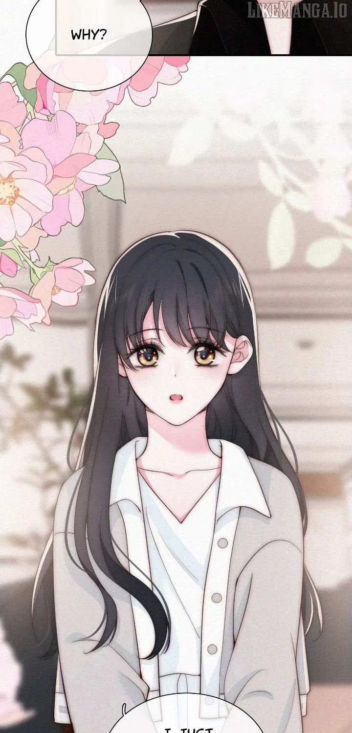 Read Only Love chapter 99 image 25 on Lezhin