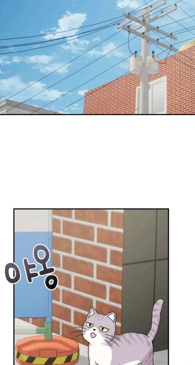 Read Operation: Heartbeat chapter 15 image 1 on Lezhin