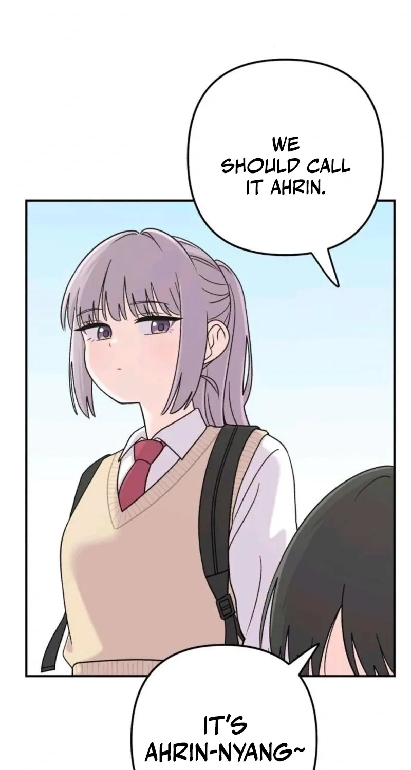 Read Operation: Heartbeat chapter 15 image 10 on Lezhin
