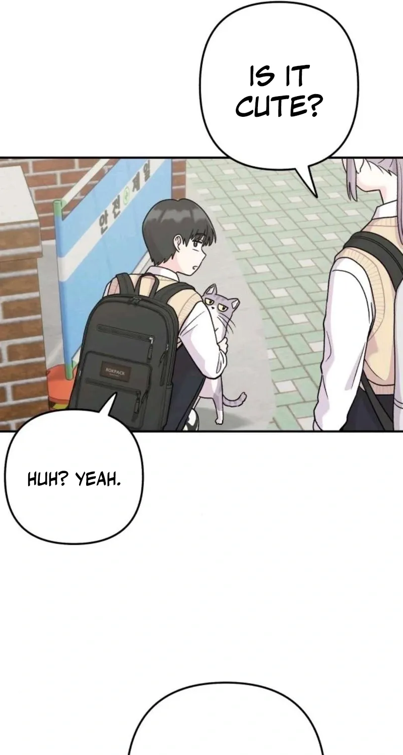 Read Operation: Heartbeat chapter 15 image 12 on Lezhin