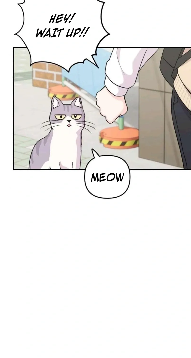 Read Operation: Heartbeat chapter 15 image 14 on Lezhin