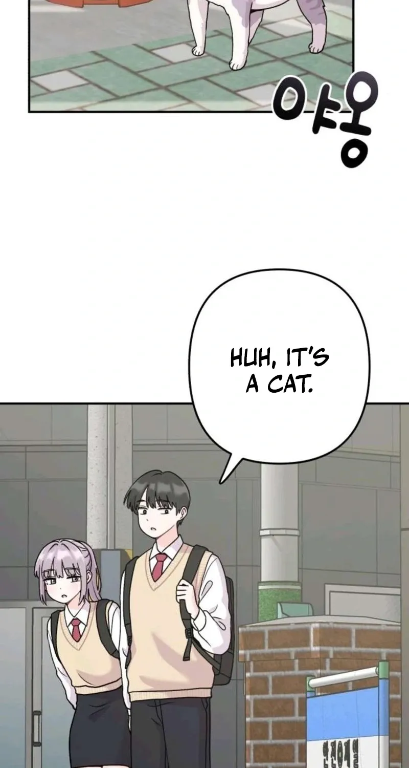 Read Operation: Heartbeat chapter 15 image 2 on Lezhin
