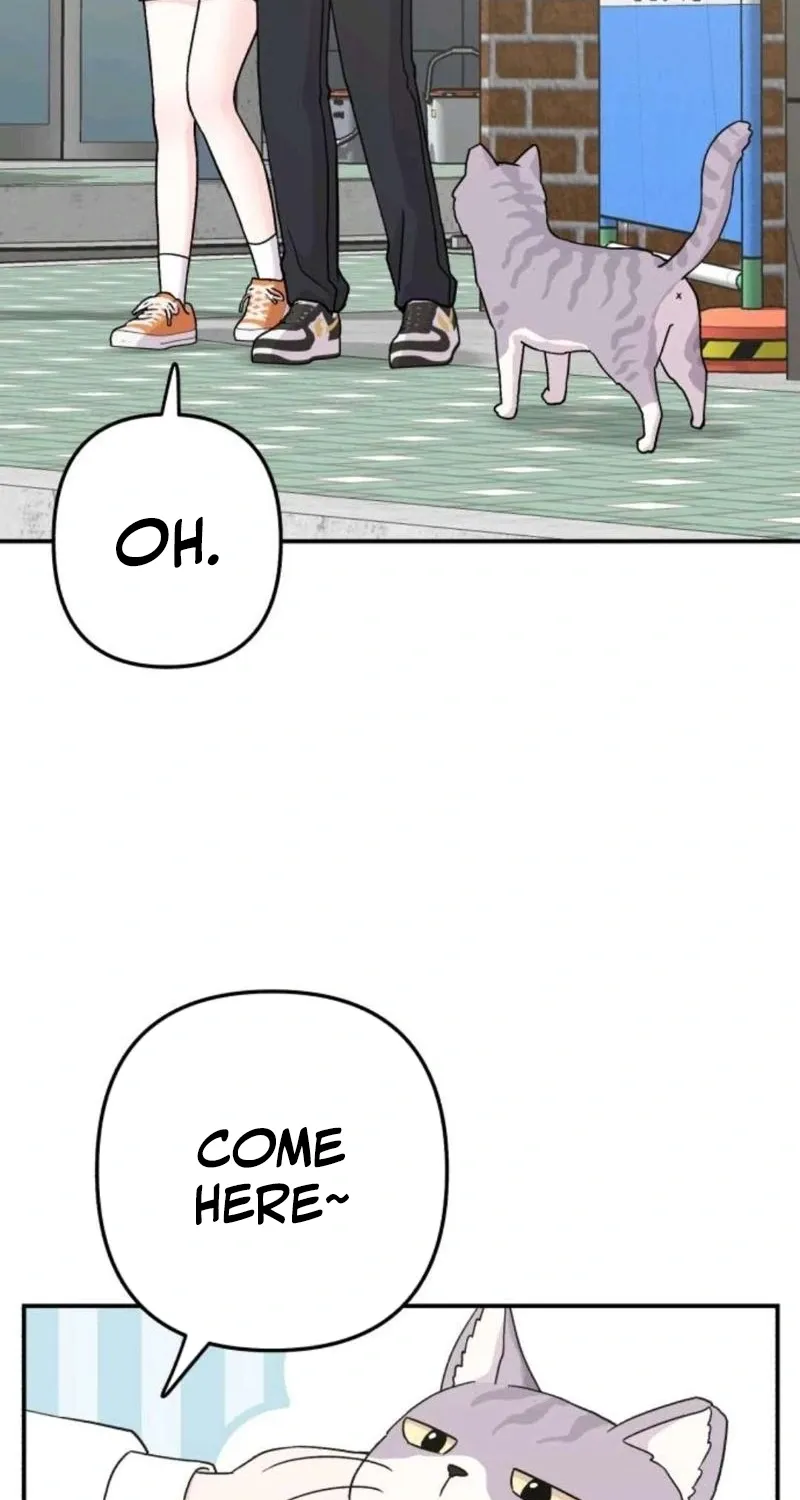 Read Operation: Heartbeat chapter 15 image 3 on Lezhin