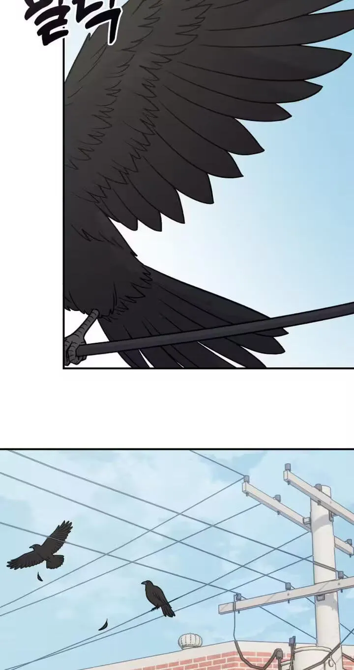 Read Operation: Heartbeat chapter 36 image 64 on Lezhin