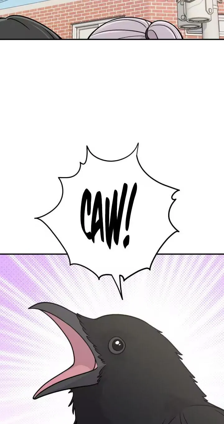 Read Operation: Heartbeat chapter 36 image 65 on Lezhin