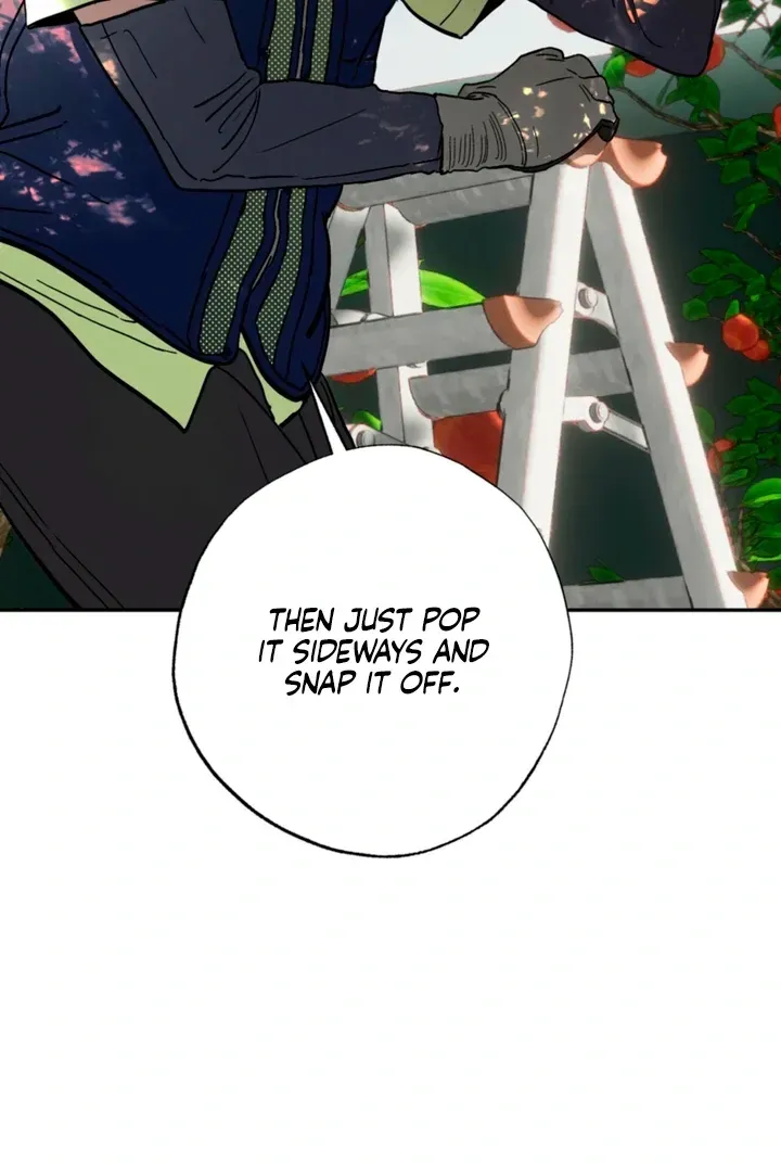 Orchard of Temptation Chapter 10 page 4 - 