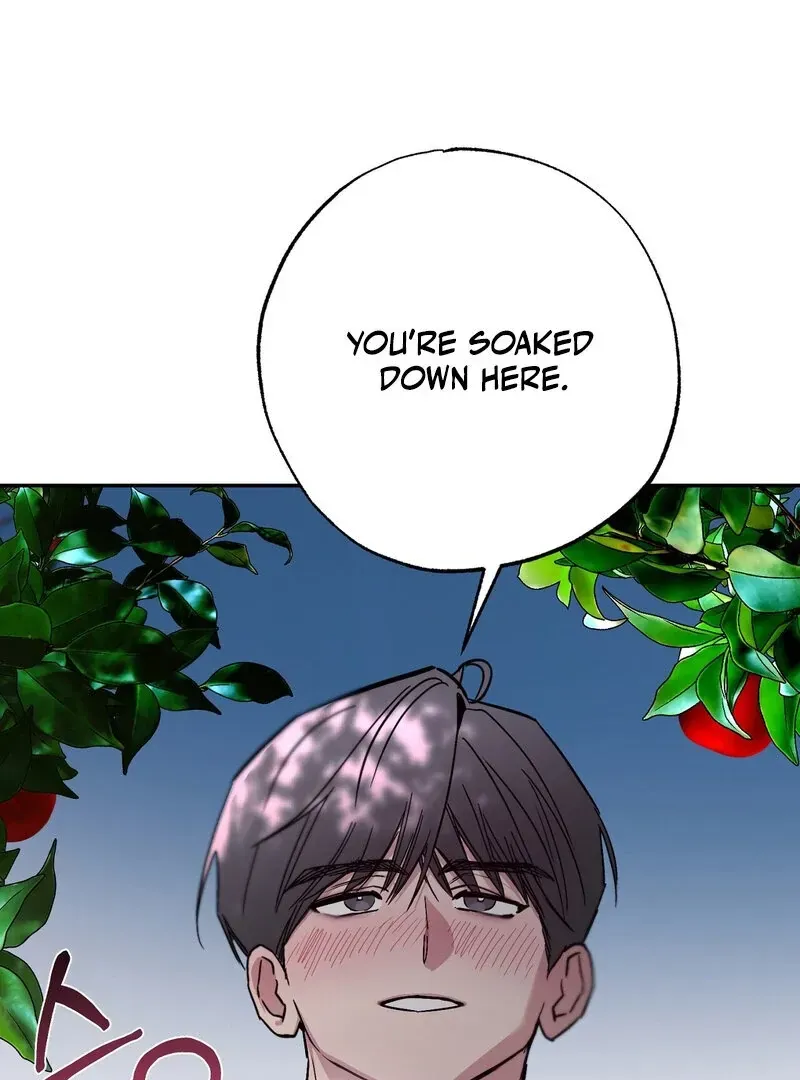 Orchard of Temptation Chapter 5 page 17 - 