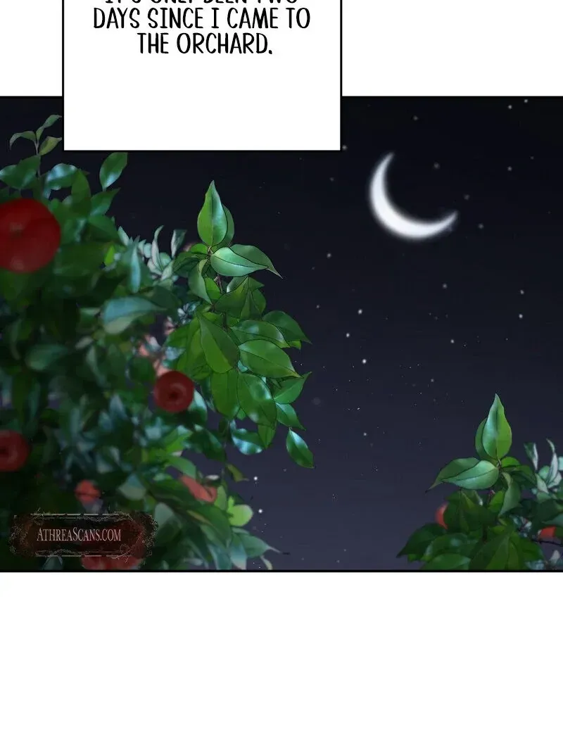 Orchard of Temptation Chapter 9 page 13 - 