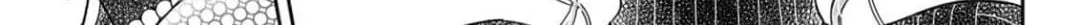 Osananajimi wa Ichiransei no Kemono Chapter 19 page 22 - 