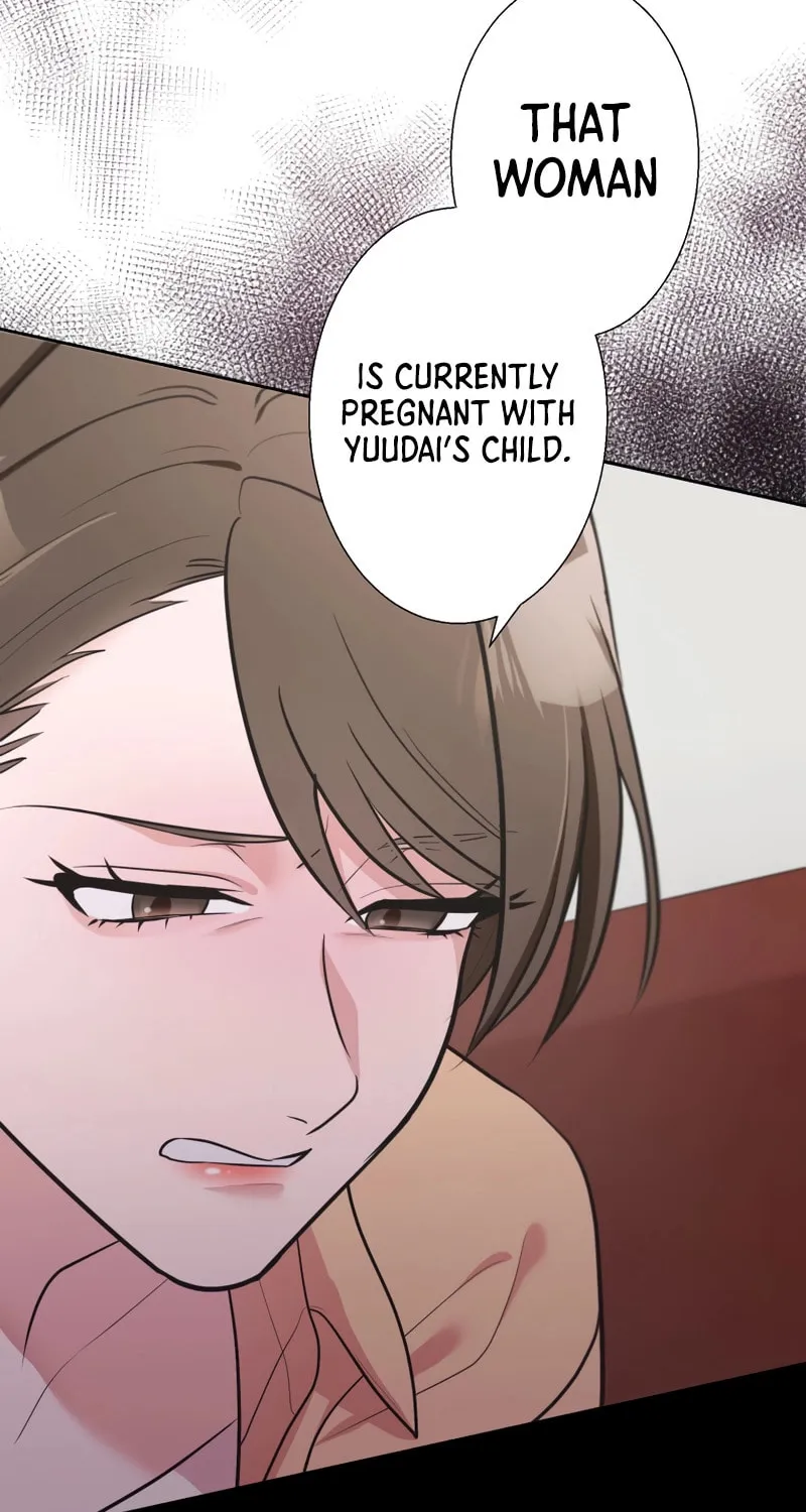 Otto no Katei wo Kowasu Made Chapter 11 page 23 - 