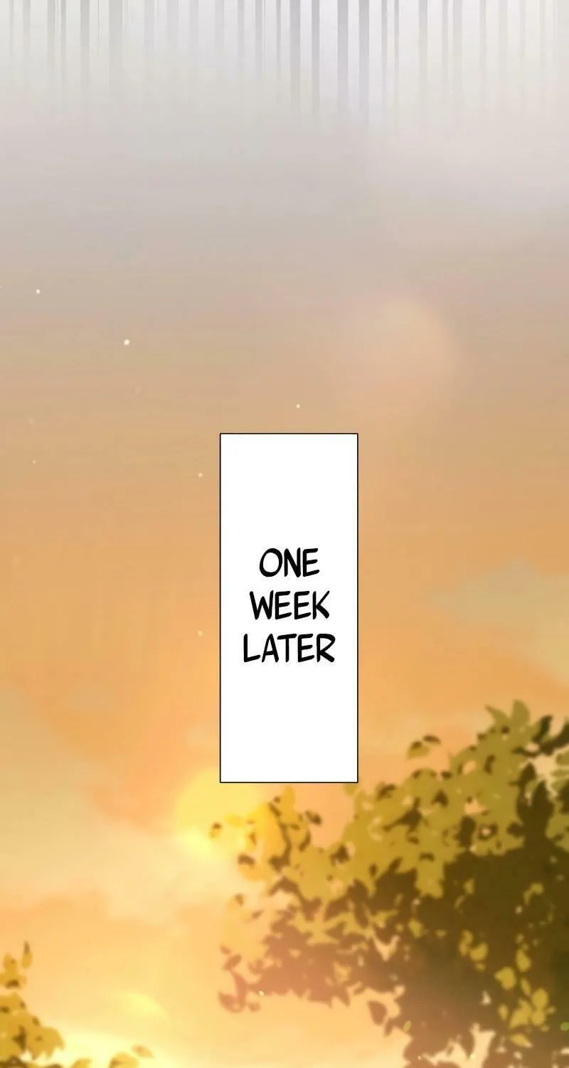 Otto no Katei wo Kowasu Made Chapter 14 page 42 - 