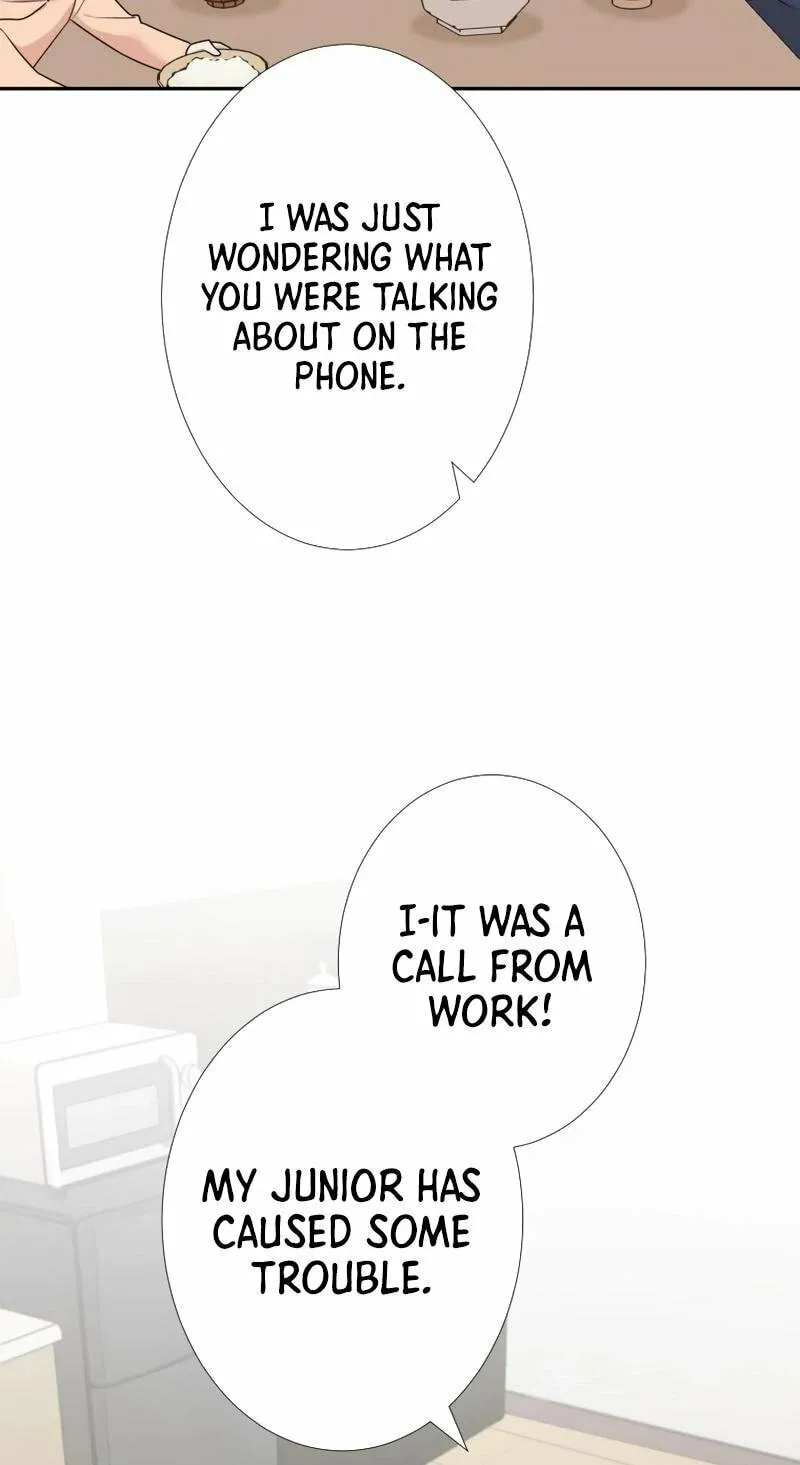 Otto no Katei wo Kowasu Made Chapter 16 page 17 - 