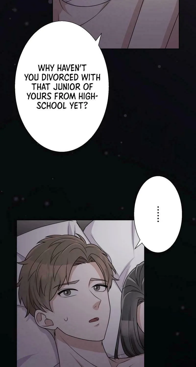Otto no Katei wo Kowasu Made Chapter 20 page 47 - 