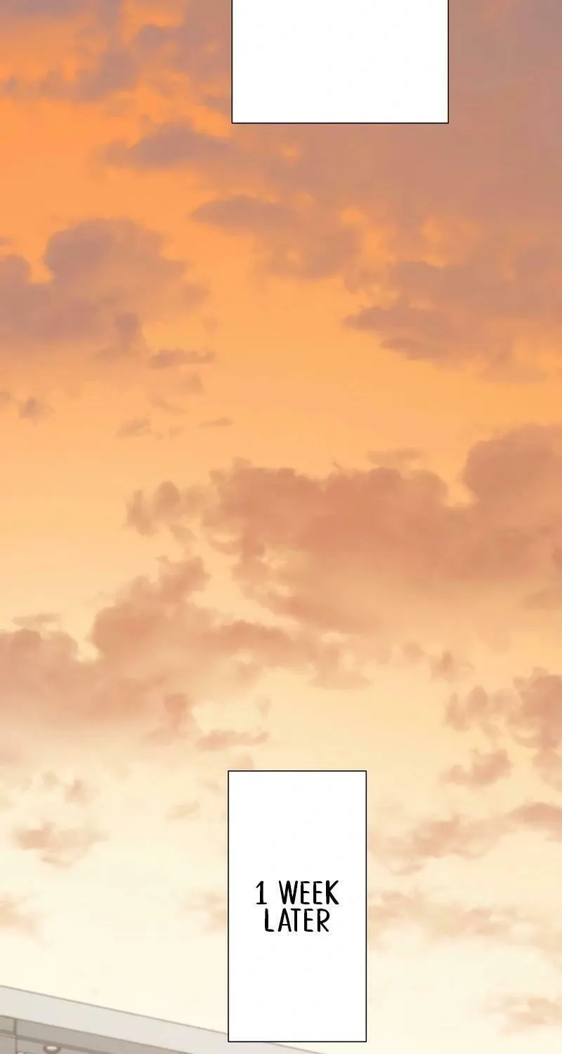 Otto no Katei wo Kowasu Made Chapter 29 page 37 - 
