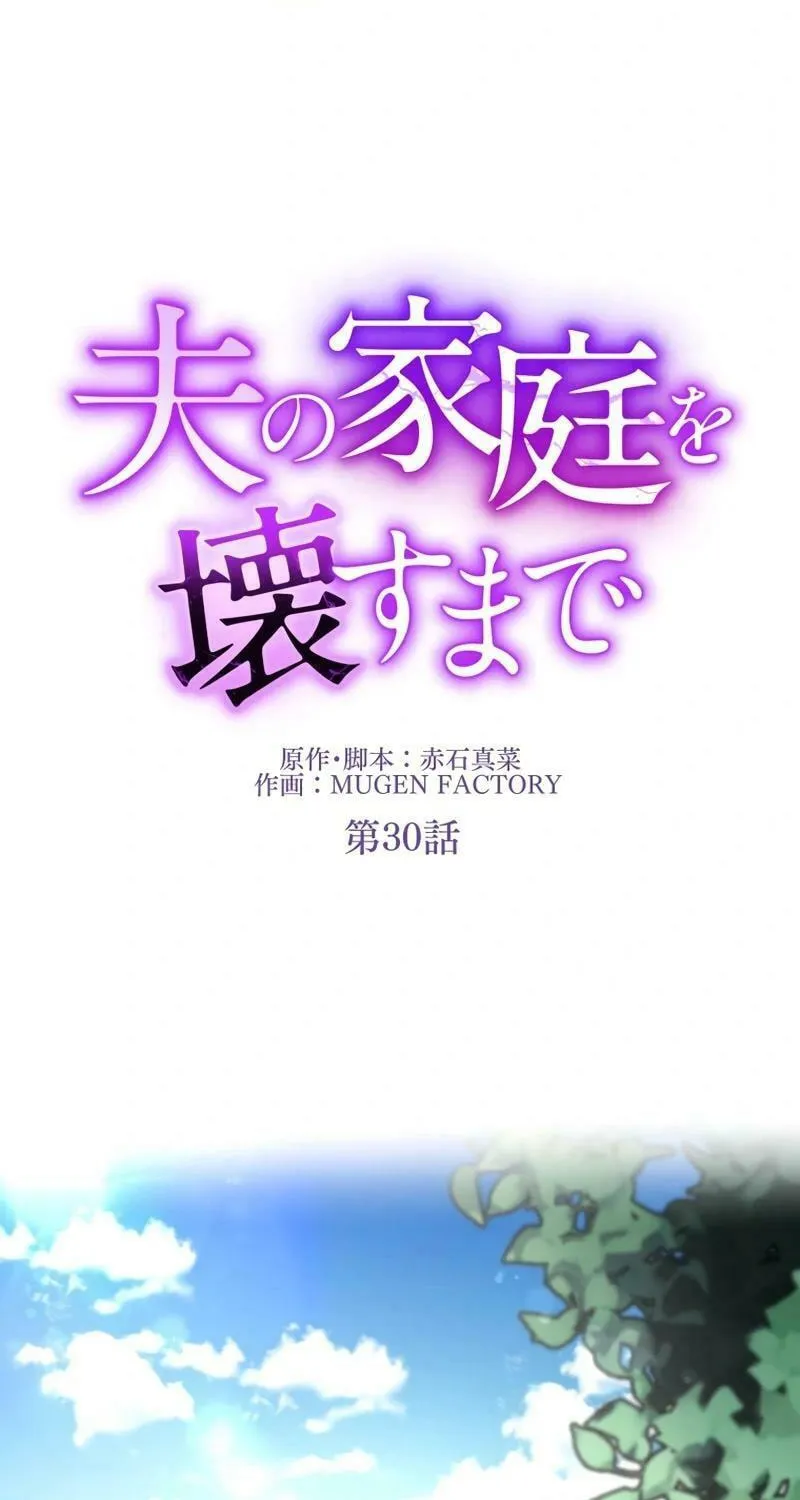 Otto no Katei wo Kowasu Made Chapter 30 page 14 - 