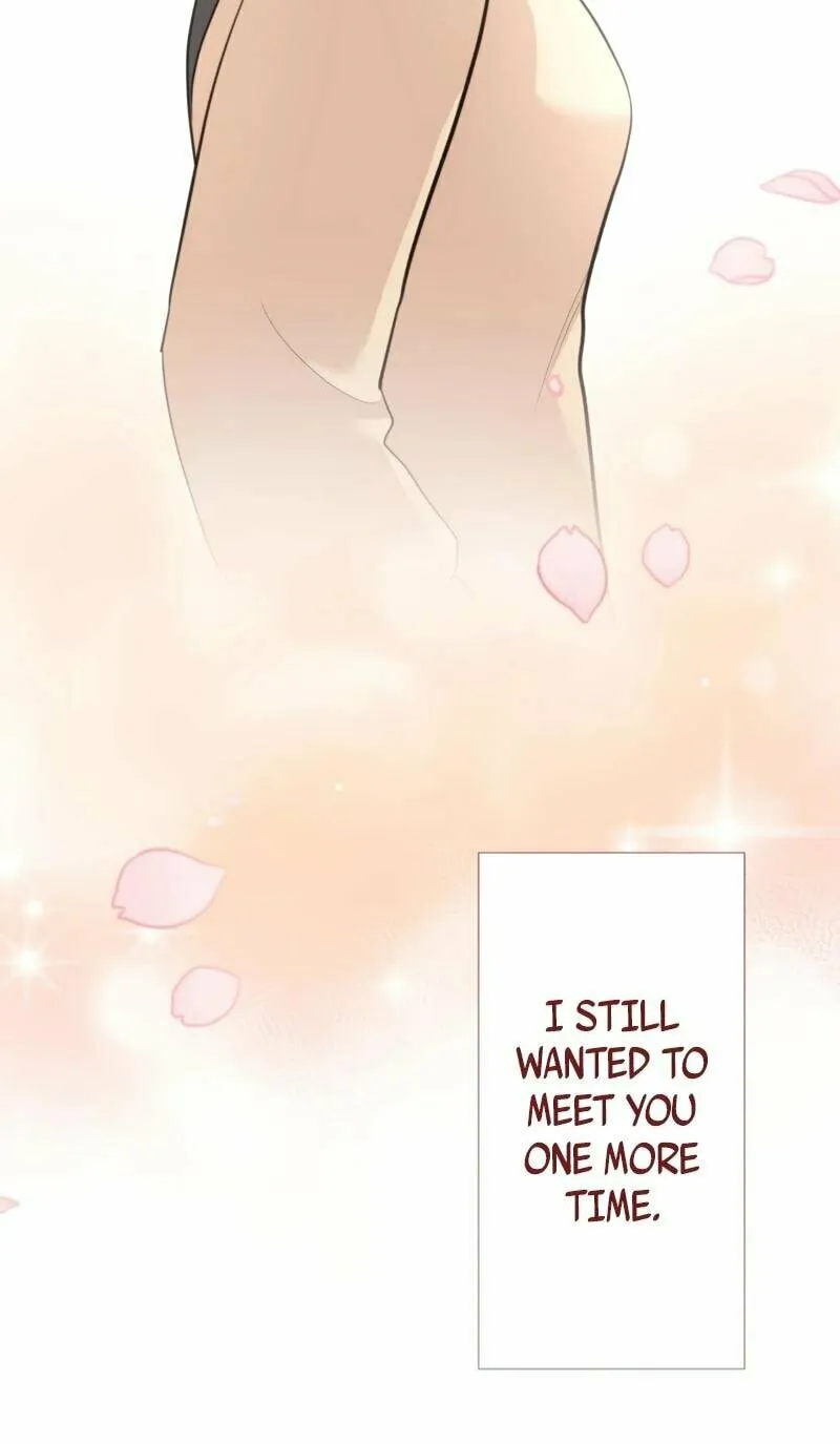 Otto no Katei wo Kowasu Made Chapter 31 page 10 - 