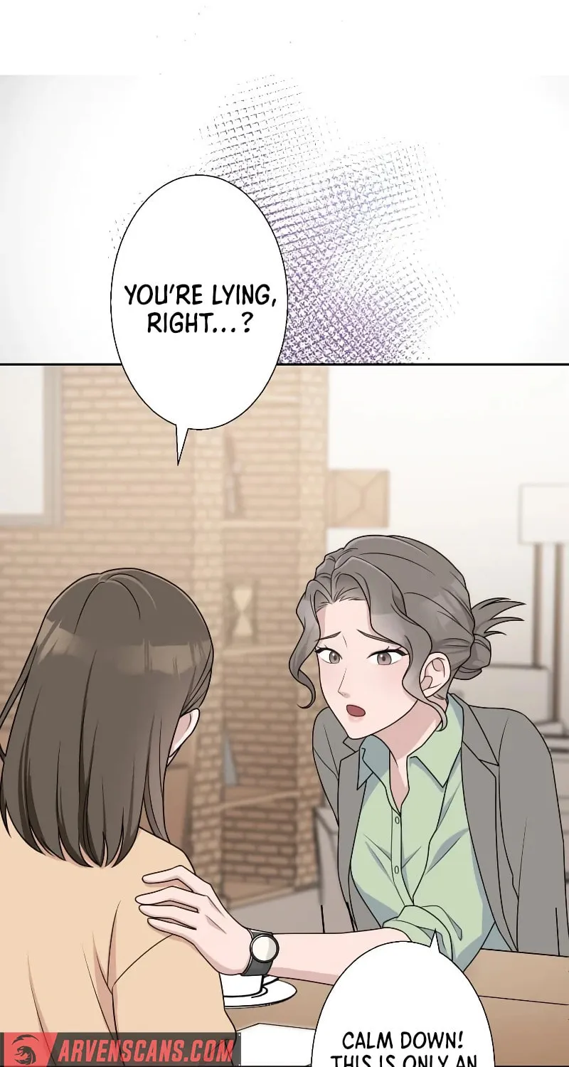 Otto no Katei wo Kowasu Made Chapter 4 page 25 - 