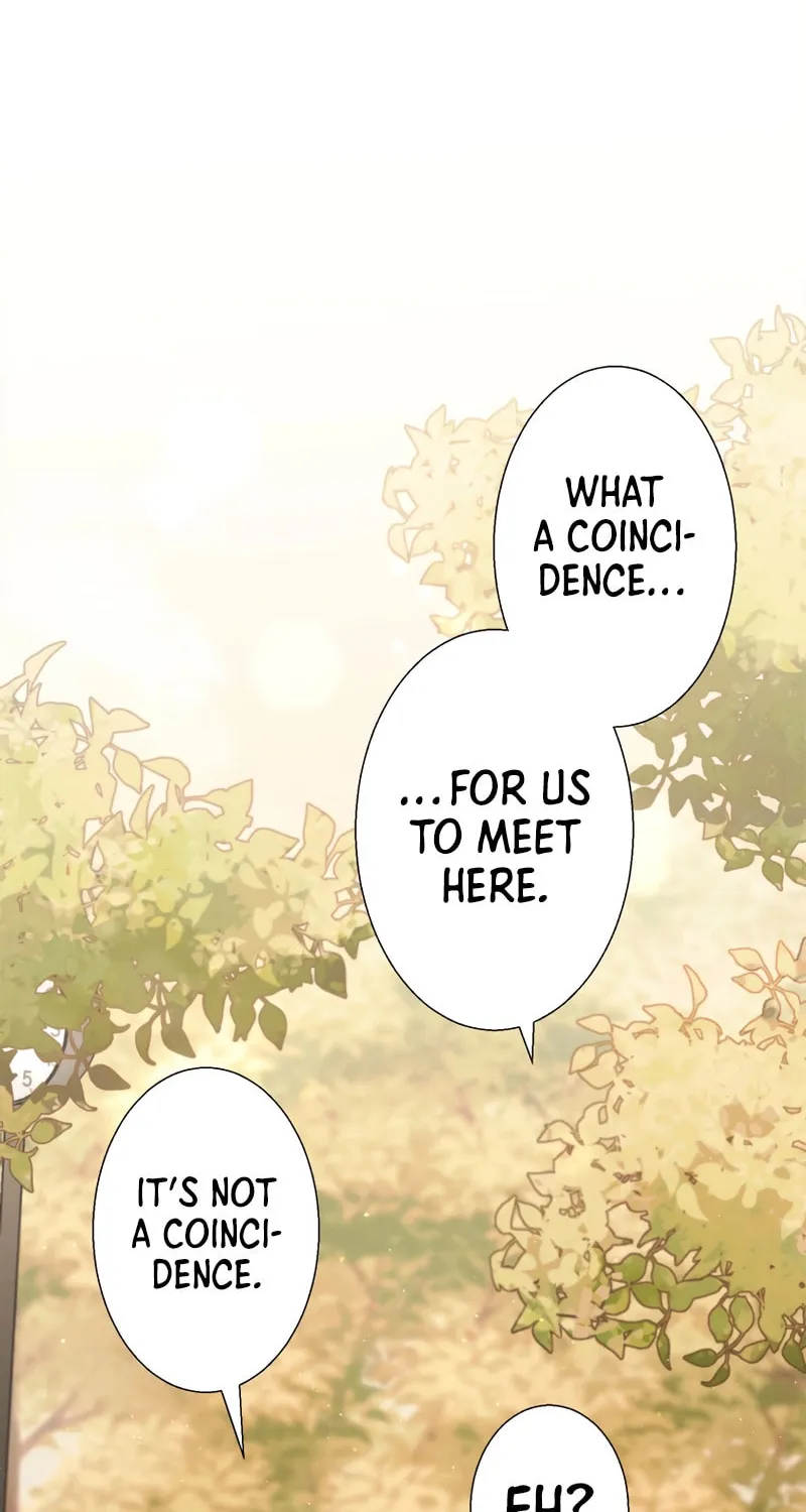 Otto no Katei wo Kowasu Made Chapter 9 page 40 - 
