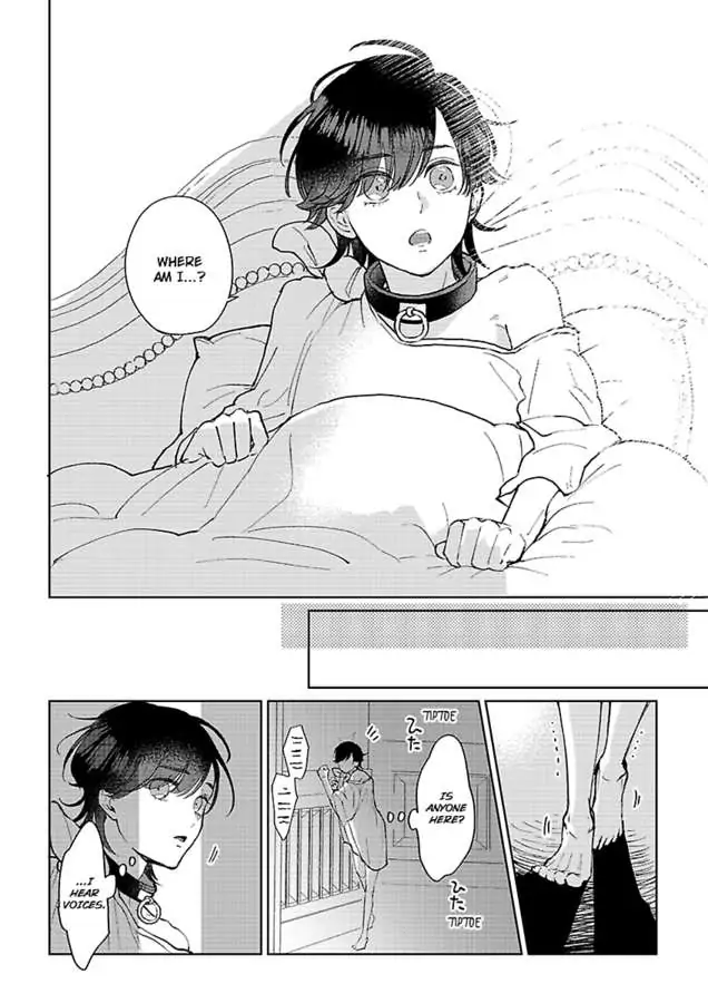 Read Ouji no Kubiwa chapter 1 image 17 on Lezhin