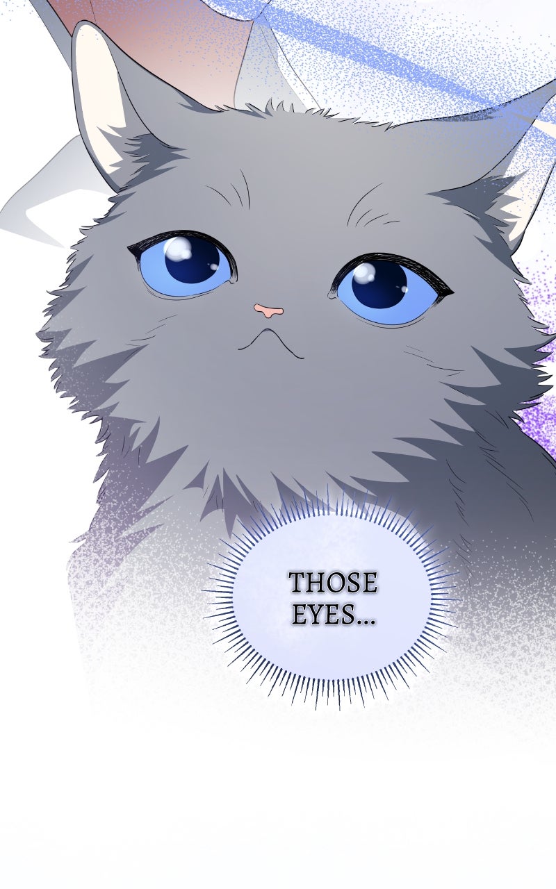 Read Our Contract Marriage Ends Here chapter 19 image 21 on Lezhin