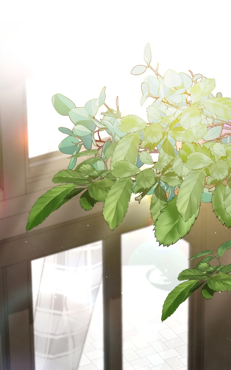 Read Our Contract Marriage Ends Here chapter 2 image 98 on Lezhin