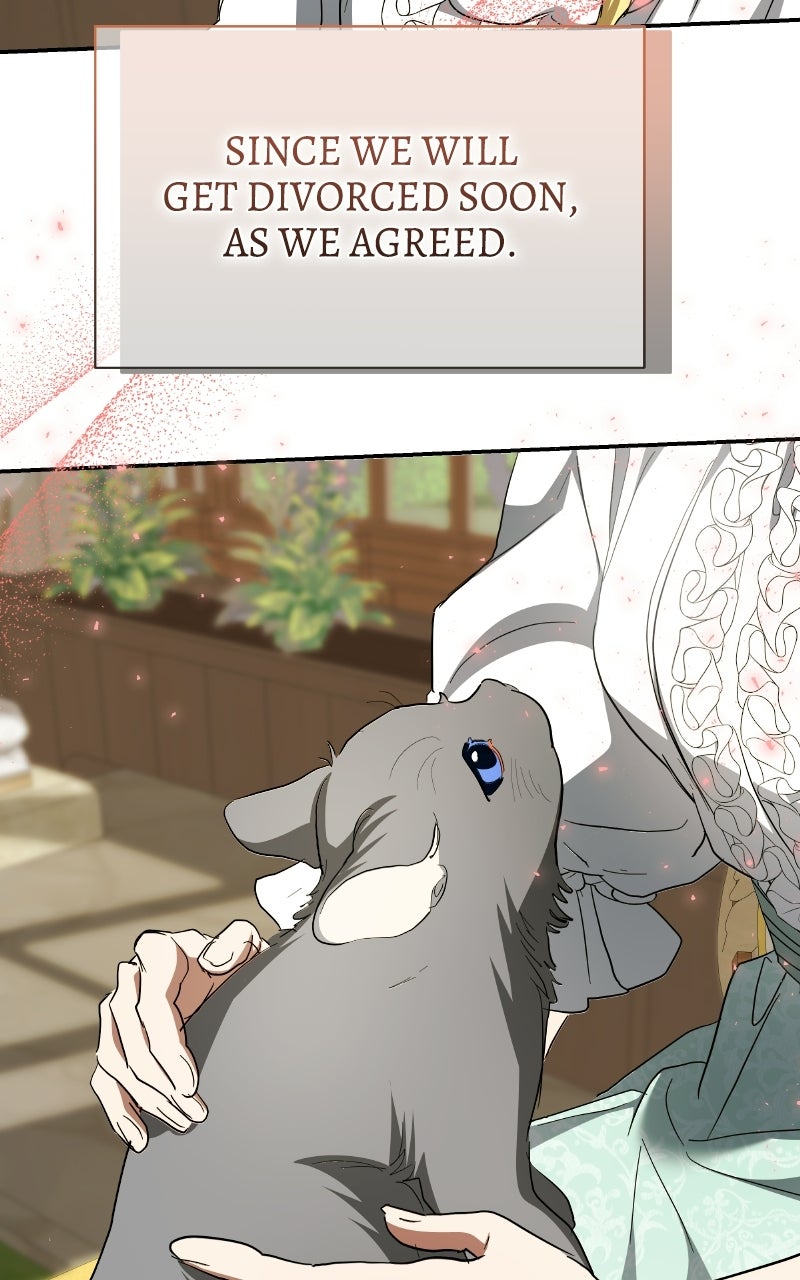Read Our Contract Marriage Ends Here chapter 36 image 91 on Lezhin