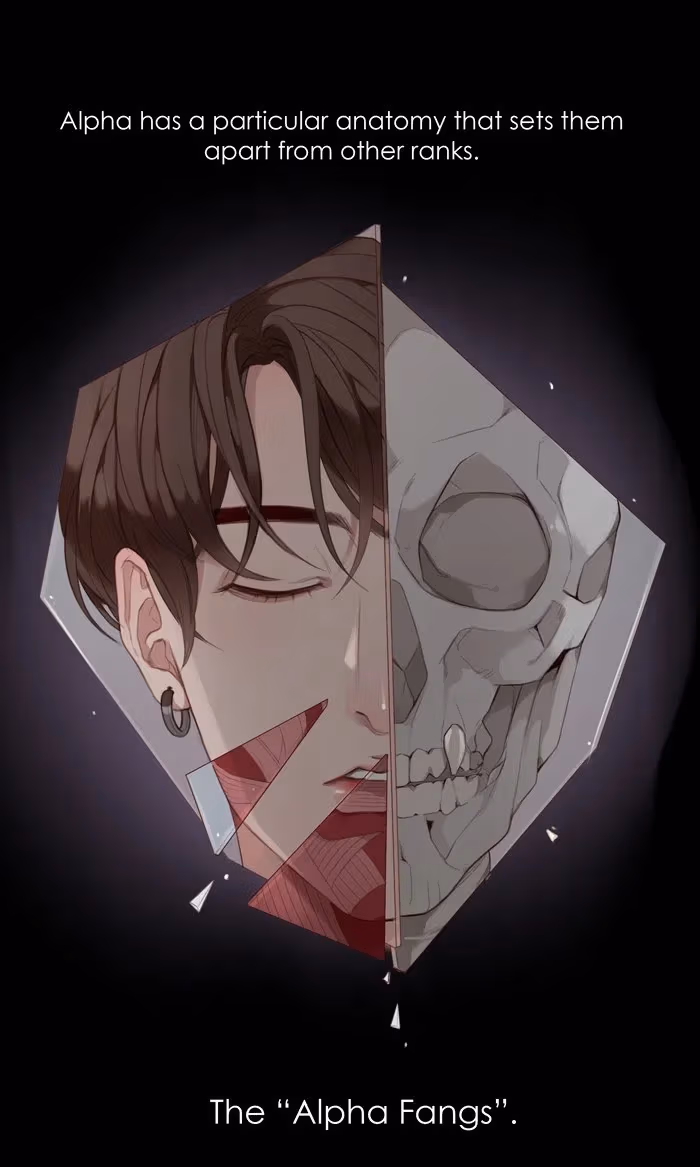 Read Our Omega Leadernim! chapter 54 image 1 on Lezhin