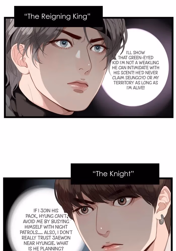 Read Our Omega Leadernim! chapter 57 image 14 on Lezhin