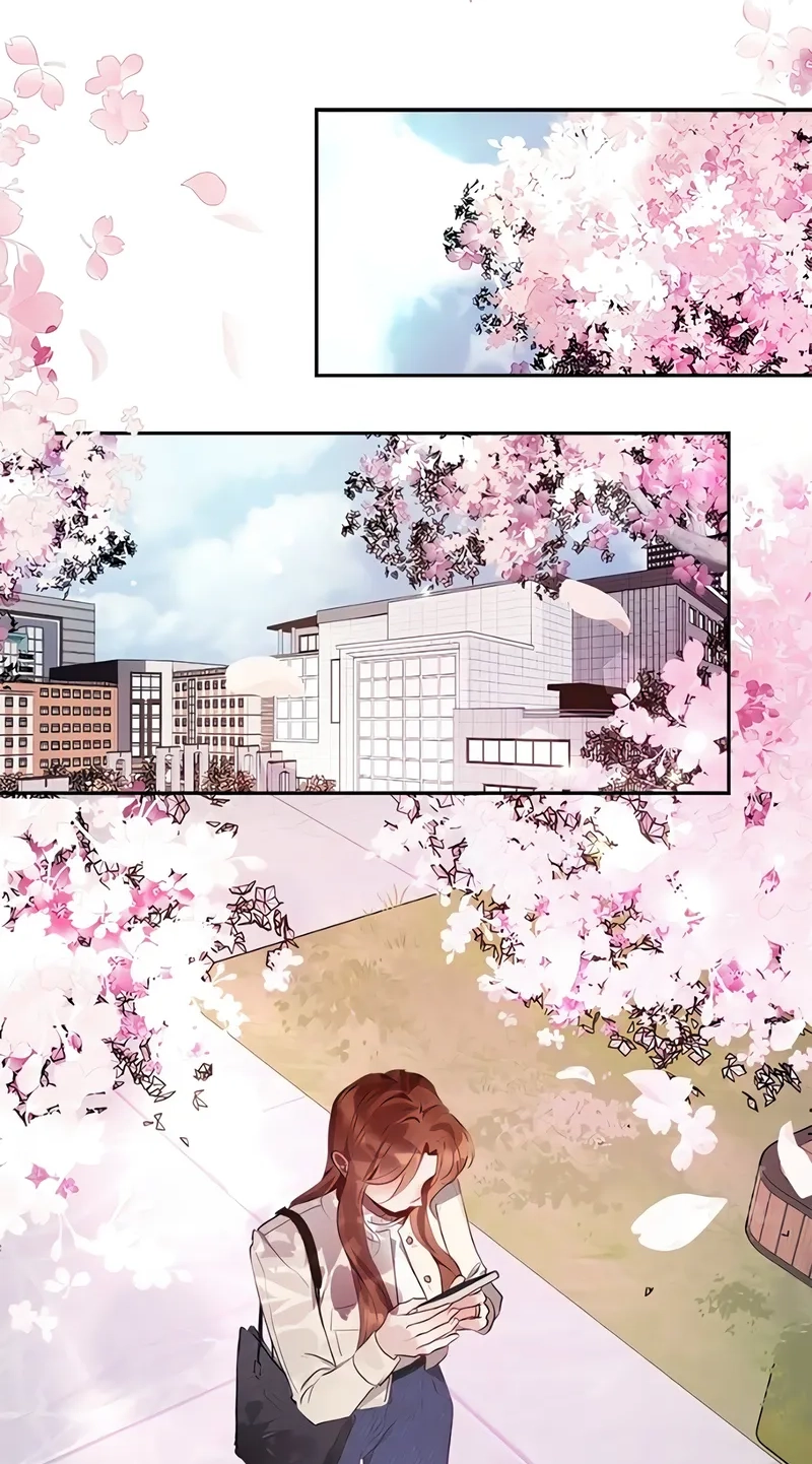 Our Secret Marriage Chapter 49 page 2 - 