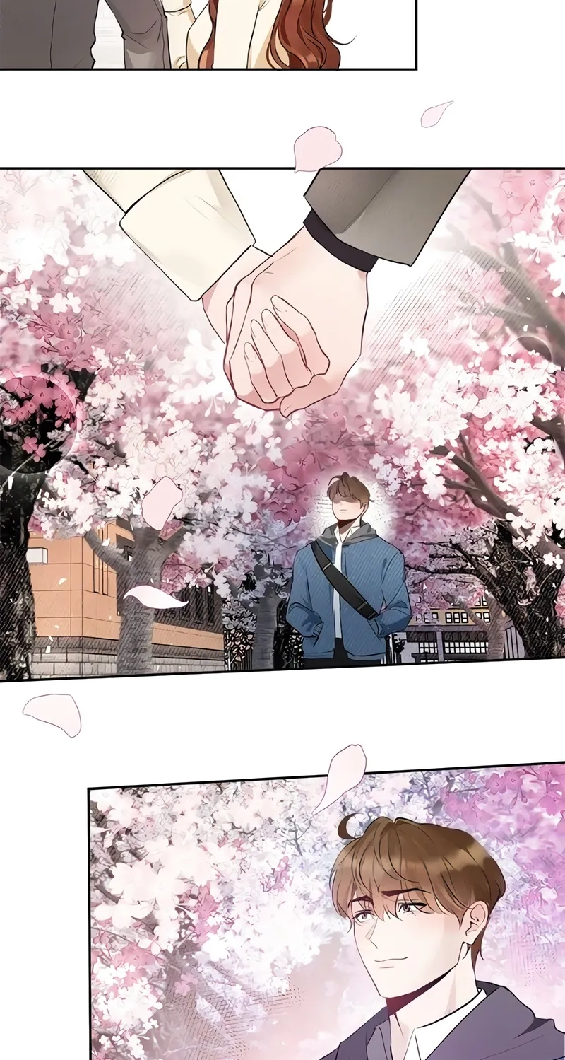 Our Secret Marriage Chapter 49 page 19 - 