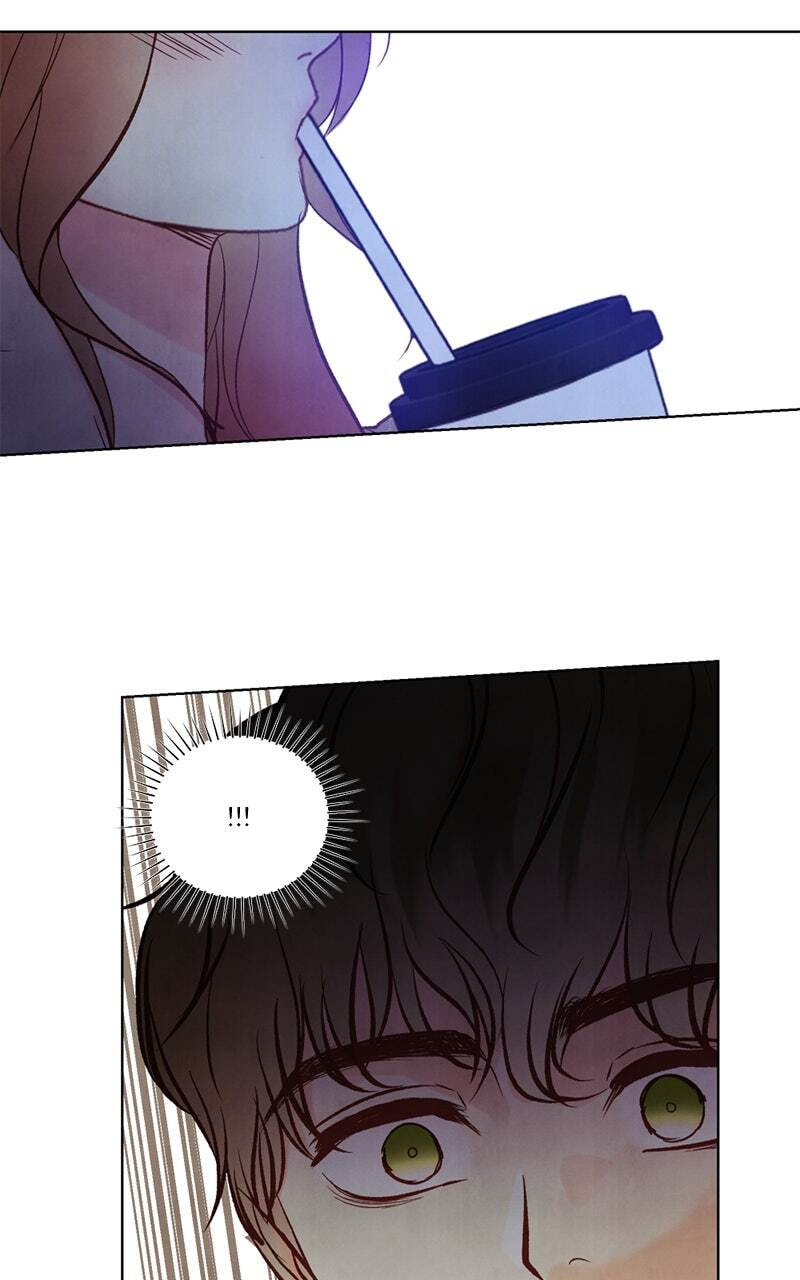 Read Our Secret Marriage chapter 19 image 8 on Lezhin