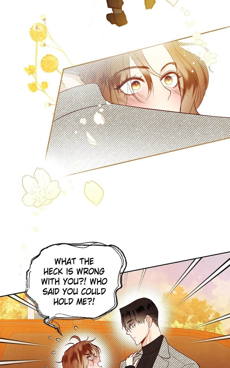 Read Our Secret Marriage chapter 3 image 93 on Lezhin