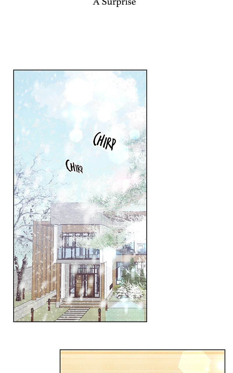 Read Our Secret Marriage chapter 37 image 1 on Lezhin