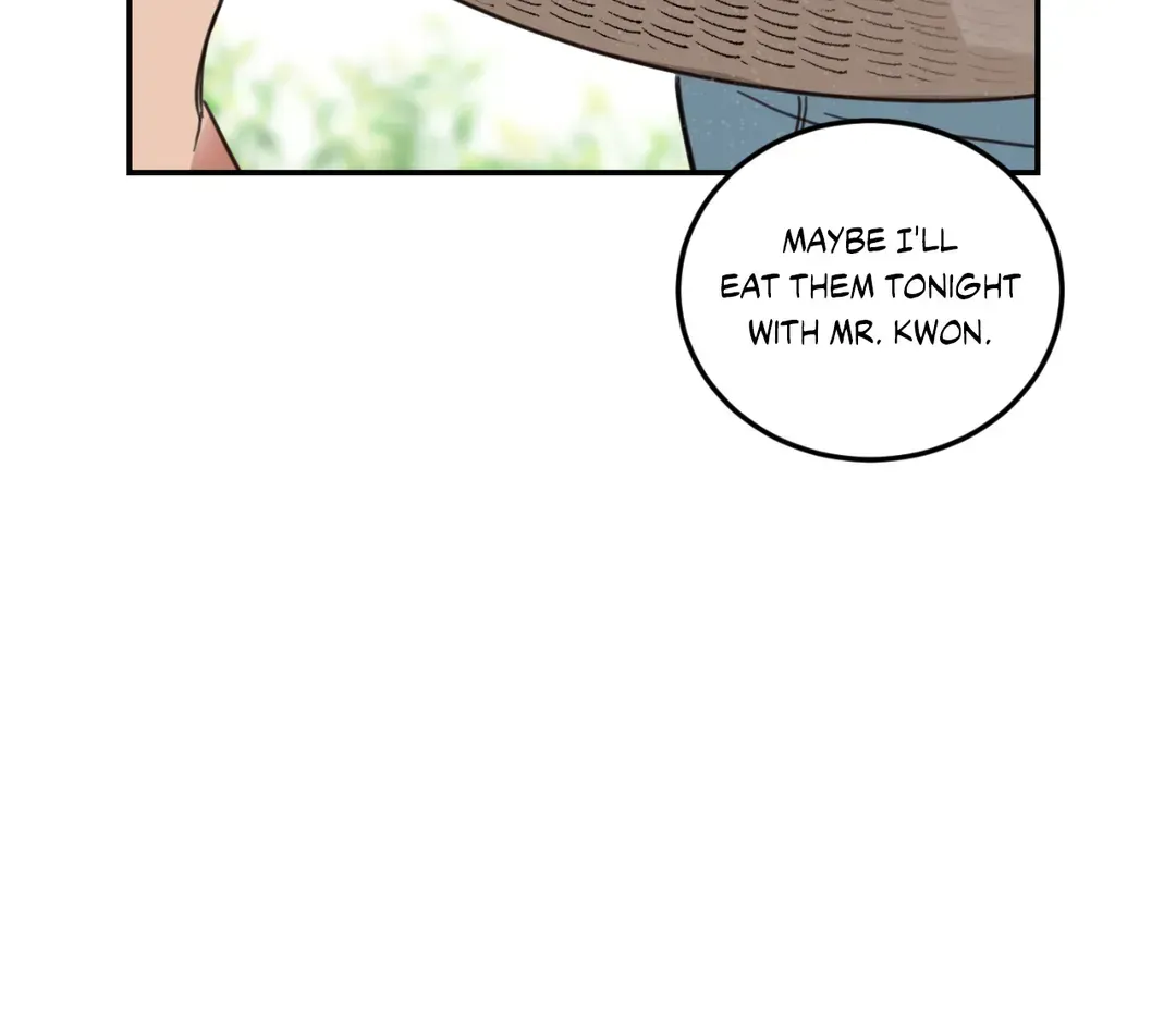 Read Our Sunny Days chapter 34 image 17 on Lezhin