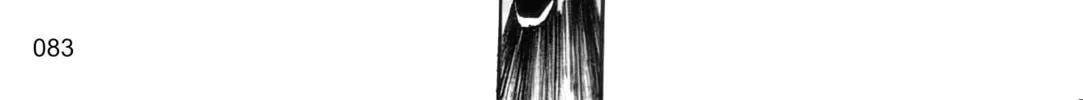 Read Outlaw Star chapter 2 image 37 on Lezhin