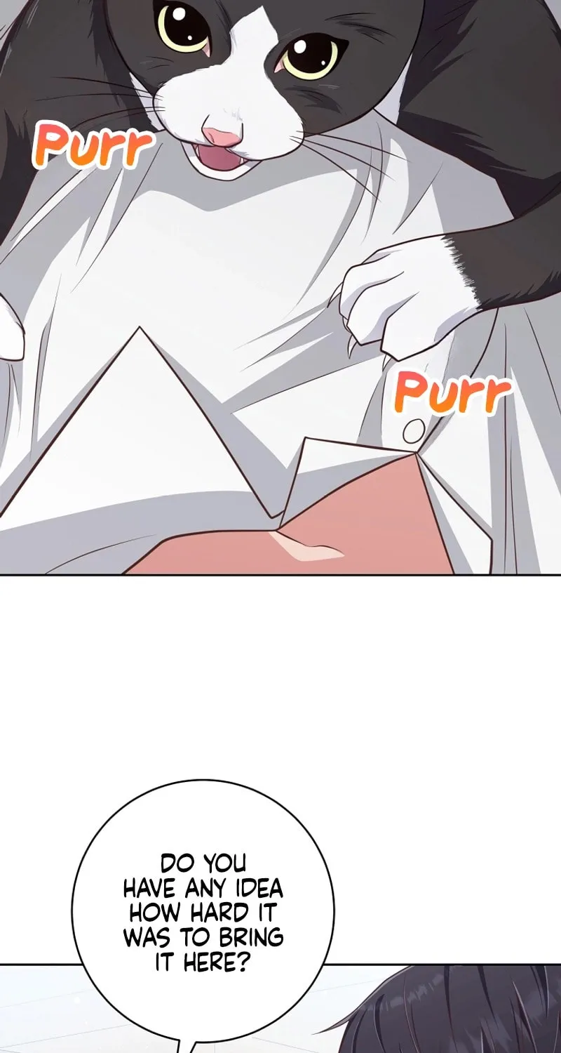 Read Outside Relationship chapter 10 image 44 on Lezhin