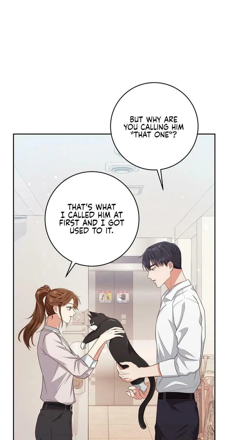 Read Outside Relationship chapter 11 image 3 on Lezhin