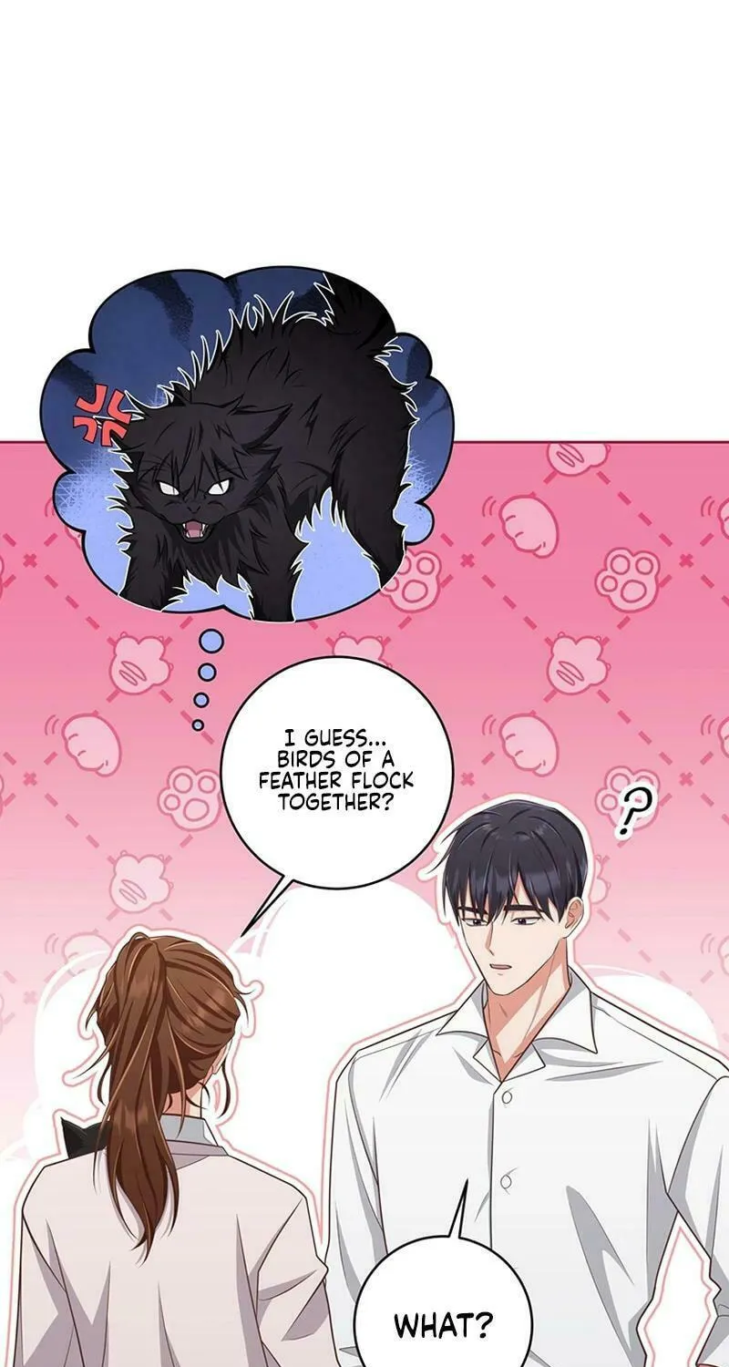 Read Outside Relationship chapter 11 image 6 on Lezhin