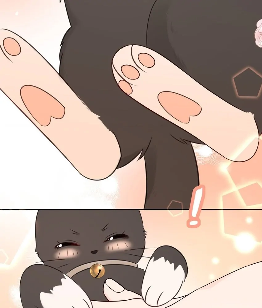 Read Overnourished chapter 47 image 34 on Lezhin