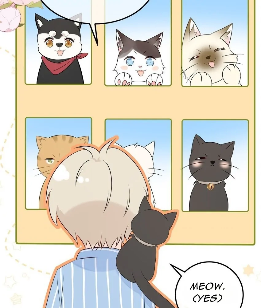 Read Overnourished chapter 47 image 74 on Lezhin