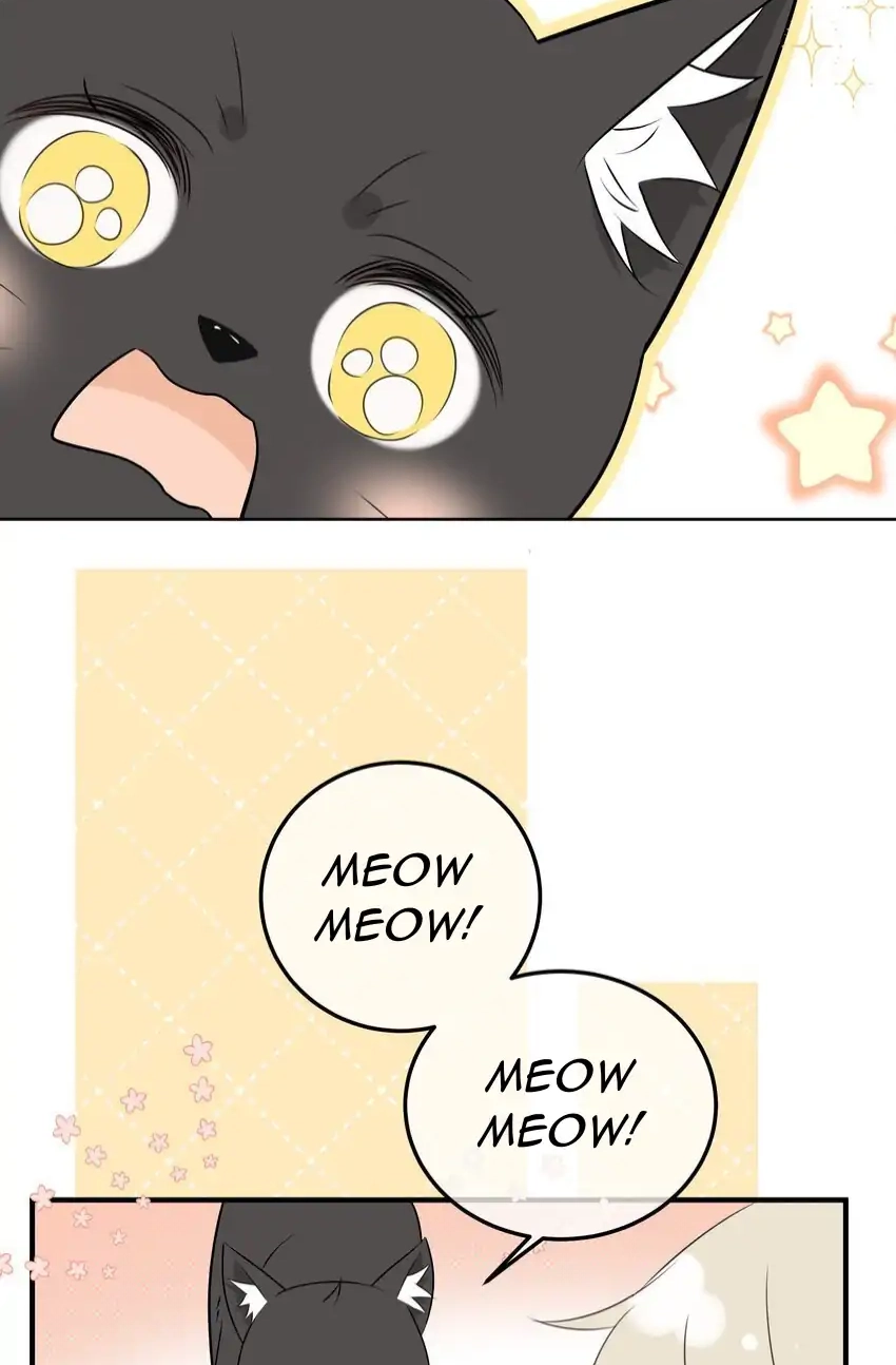 Read Overnourished chapter 50 image 72 on Lezhin