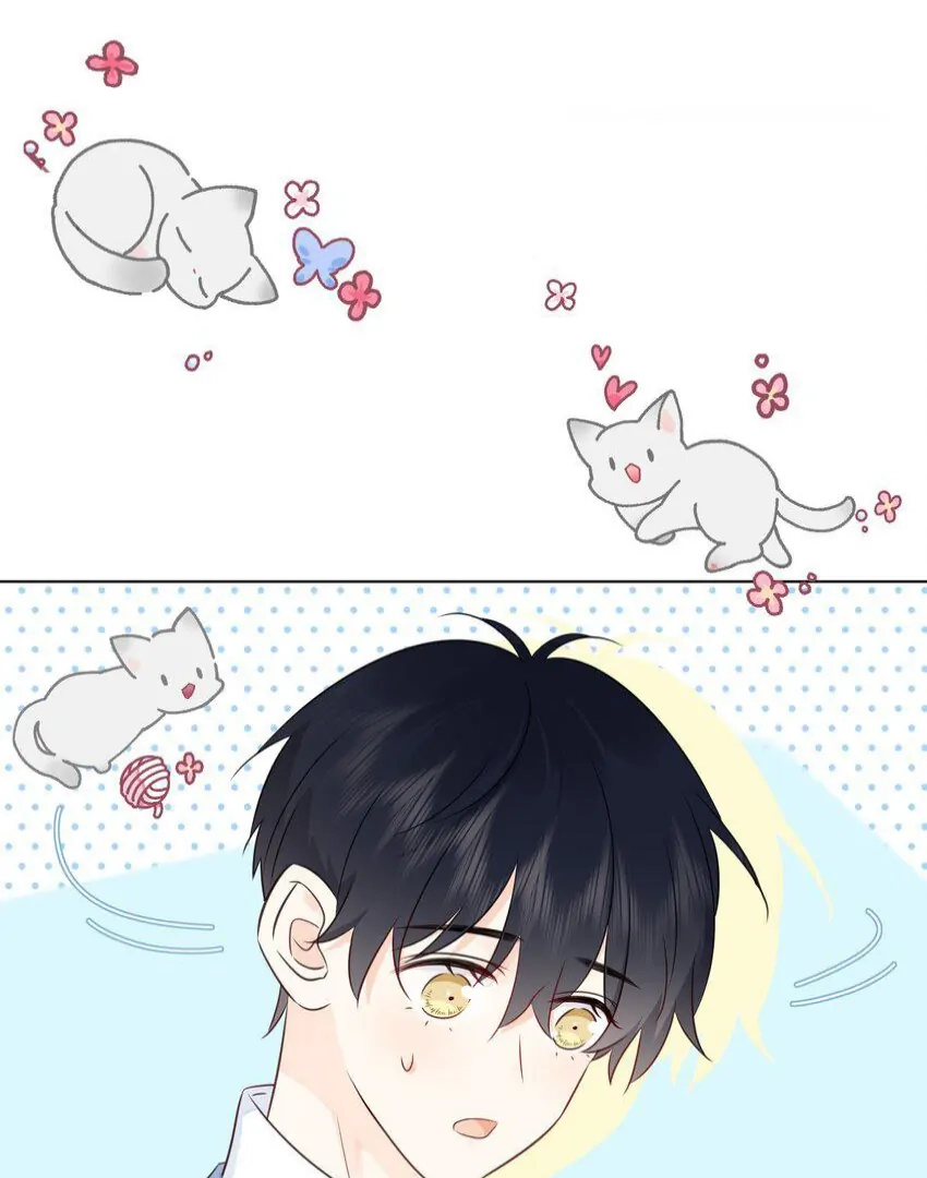 Read Overnourished chapter 51 image 62 on Lezhin