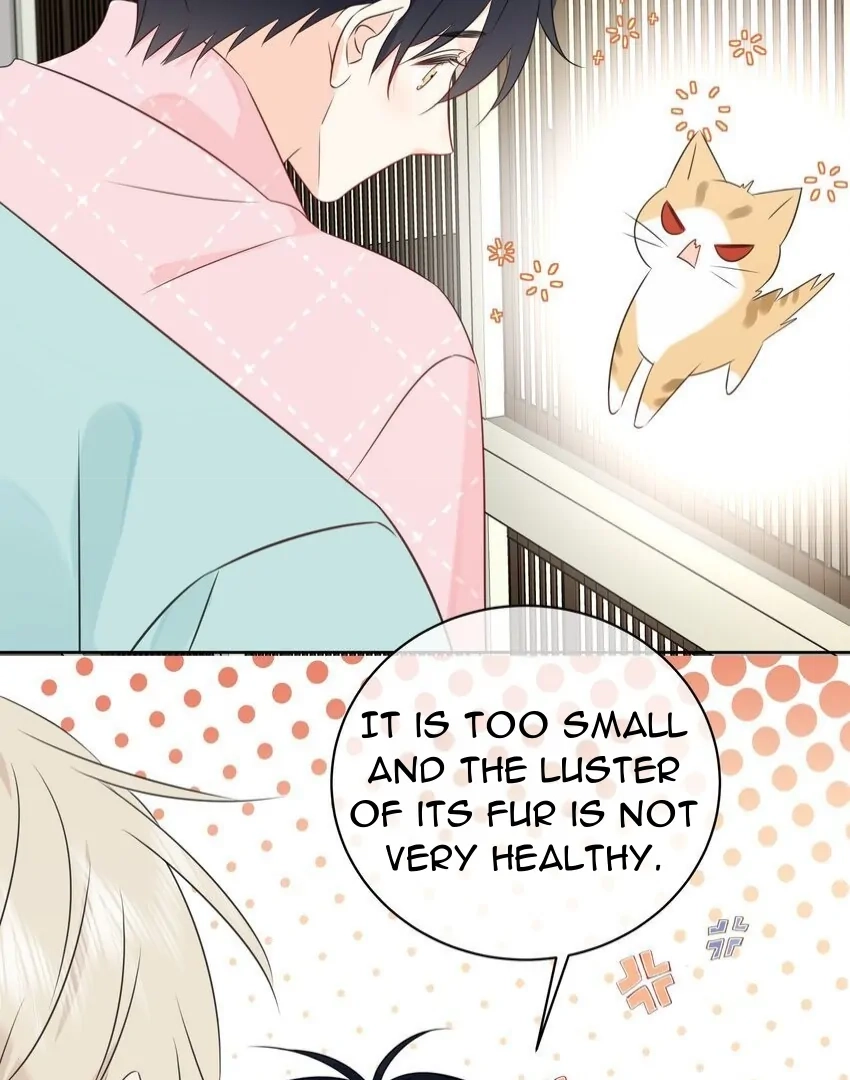 Read Overnourished chapter 53 image 41 on Lezhin